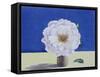 White Rose-Christopher Ryland-Framed Stretched Canvas