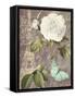 White Rose-Color Bakery-Framed Stretched Canvas