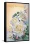 White Rose-Olga And Alexey Drozdov-Framed Stretched Canvas