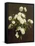 White Roses, 1870-Henri Fantin-Latour-Framed Stretched Canvas