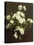 White Roses, 1870-Henri Fantin-Latour-Stretched Canvas