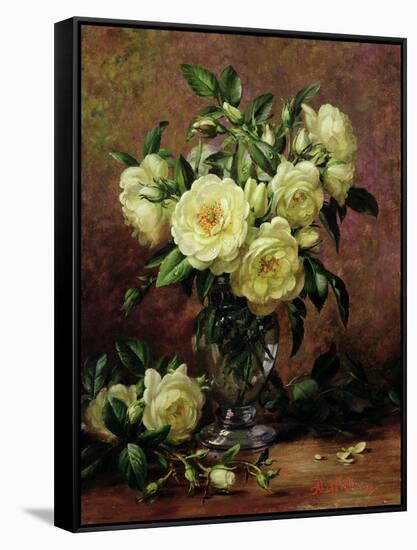 White Roses, a Gift from the Heart-Albert Williams-Framed Stretched Canvas