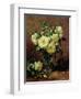 White Roses, a Gift from the Heart-Albert Williams-Framed Giclee Print