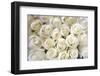 WHITE ROSES BACKGROUND-Ev Thomas-Framed Photographic Print