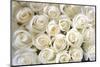 WHITE ROSES BACKGROUND-Ev Thomas-Mounted Photographic Print