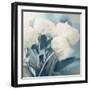 White Roses I-Dan Meneely-Framed Art Print