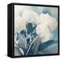 White Roses I-Dan Meneely-Framed Stretched Canvas