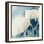 White Roses II-Dan Meneely-Framed Art Print