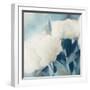 White Roses II-Dan Meneely-Framed Art Print