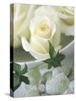 White Roses in a Bowl-Jean Cazals-Stretched Canvas