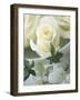 White Roses in a Bowl-Jean Cazals-Framed Photographic Print