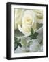 White Roses in a Bowl-Jean Cazals-Framed Photographic Print