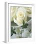 White Roses in a Bowl-Jean Cazals-Framed Photographic Print