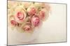 White Roses in a Vase-egal-Mounted Photographic Print