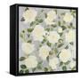 White Roses- Square-Carissa Luminess-Framed Stretched Canvas