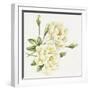 White Roses-Janneke Brinkman-Salentijn-Framed Giclee Print