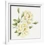White Roses-Janneke Brinkman-Salentijn-Framed Giclee Print