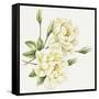 White Roses-Janneke Brinkman-Salentijn-Framed Stretched Canvas