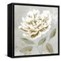 White Sage I-Aria K-Framed Stretched Canvas