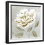 White Sage I-Aria K-Framed Art Print