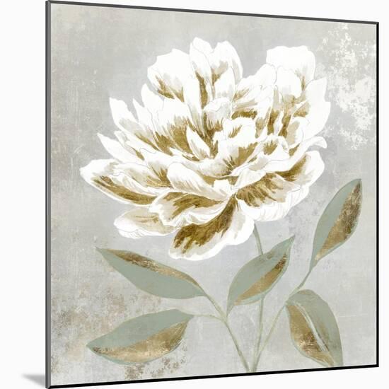 White Sage I-Aria K-Mounted Art Print