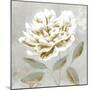 White Sage I-Aria K-Mounted Art Print