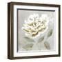 White Sage I-Aria K-Framed Art Print