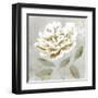 White Sage I-Aria K-Framed Art Print