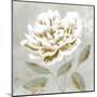 White Sage I-Aria K-Mounted Art Print