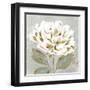 White Sage II-Aria K-Framed Art Print