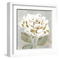 White Sage II-Aria K-Framed Art Print