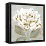 White Sage II-Aria K-Framed Stretched Canvas