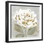 White Sage II-Aria K-Framed Art Print