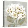 White Sage II-Aria K-Stretched Canvas