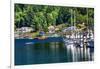 White Sailboats Marina Kayak Reflection, Gig Harbor, Pierce County, Washington State-William Perry-Framed Photographic Print