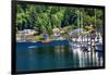 White Sailboats Marina Kayak Reflection, Gig Harbor, Pierce County, Washington State-William Perry-Framed Photographic Print