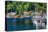 White Sailboats Marina Kayak Reflection, Gig Harbor, Pierce County, Washington State-William Perry-Stretched Canvas