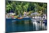 White Sailboats Marina Kayak Reflection, Gig Harbor, Pierce County, Washington State-William Perry-Mounted Photographic Print