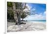 White sand and turquoise water at Laura (Lowrah) beach, Majuro atoll, Majuro, Marshall Islands, Sou-Michael Runkel-Framed Photographic Print