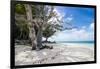 White sand and turquoise water at Laura (Lowrah) beach, Majuro atoll, Majuro, Marshall Islands, Sou-Michael Runkel-Framed Photographic Print