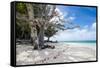 White sand and turquoise water at Laura (Lowrah) beach, Majuro atoll, Majuro, Marshall Islands, Sou-Michael Runkel-Framed Stretched Canvas