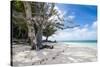 White sand and turquoise water at Laura (Lowrah) beach, Majuro atoll, Majuro, Marshall Islands, Sou-Michael Runkel-Stretched Canvas