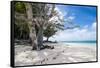 White sand and turquoise water at Laura (Lowrah) beach, Majuro atoll, Majuro, Marshall Islands, Sou-Michael Runkel-Framed Stretched Canvas