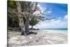 White sand and turquoise water at Laura (Lowrah) beach, Majuro atoll, Majuro, Marshall Islands, Sou-Michael Runkel-Stretched Canvas