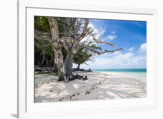 White sand and turquoise water at Laura (Lowrah) beach, Majuro atoll, Majuro, Marshall Islands, Sou-Michael Runkel-Framed Photographic Print