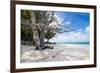 White sand and turquoise water at Laura (Lowrah) beach, Majuro atoll, Majuro, Marshall Islands, Sou-Michael Runkel-Framed Photographic Print