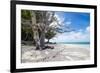 White sand and turquoise water at Laura (Lowrah) beach, Majuro atoll, Majuro, Marshall Islands, Sou-Michael Runkel-Framed Photographic Print