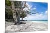 White sand and turquoise water at Laura (Lowrah) beach, Majuro atoll, Majuro, Marshall Islands, Sou-Michael Runkel-Mounted Photographic Print