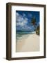 White sand beach and turquoise water on Johny Cay Island, San Andres, Caribbean Sea, Colombia, Sout-Michael Runkel-Framed Photographic Print