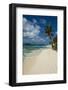 White sand beach and turquoise water on Johny Cay Island, San Andres, Caribbean Sea, Colombia, Sout-Michael Runkel-Framed Photographic Print